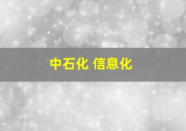 中石化 信息化